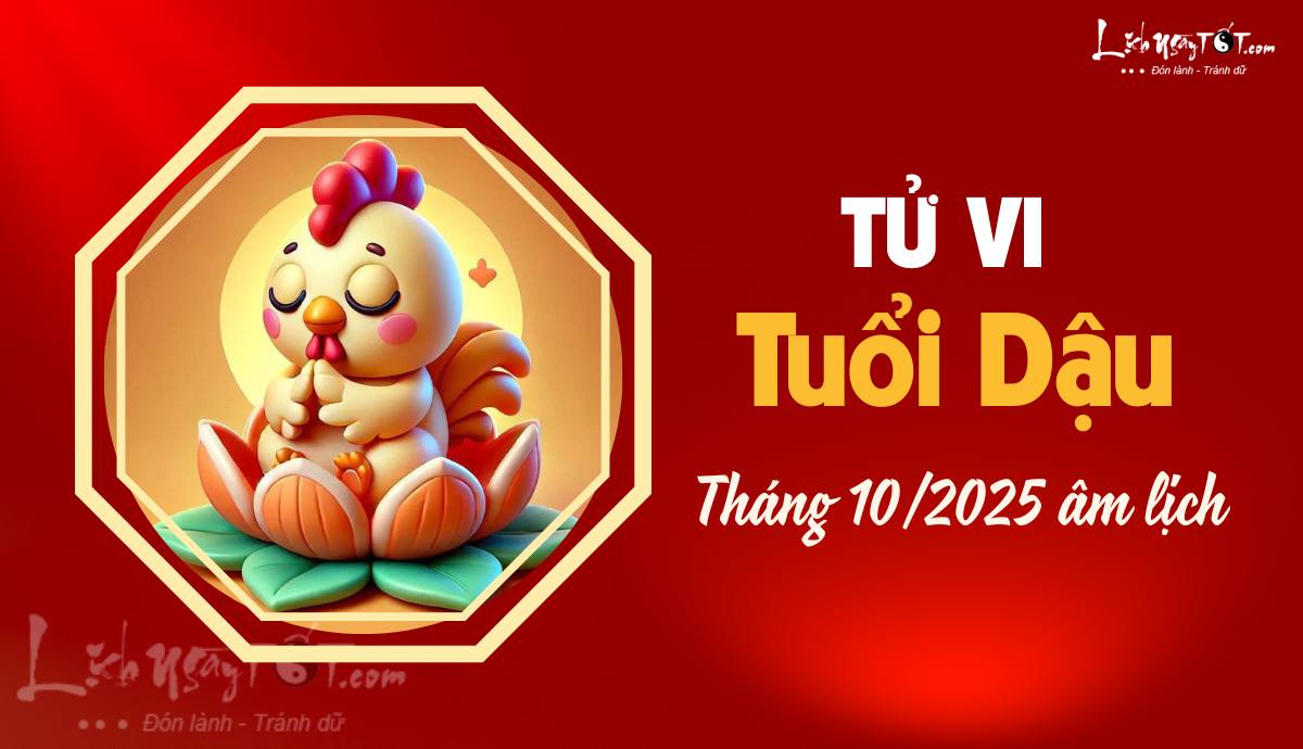 Tu vi thang 10/2025 tuoi Dau am lich