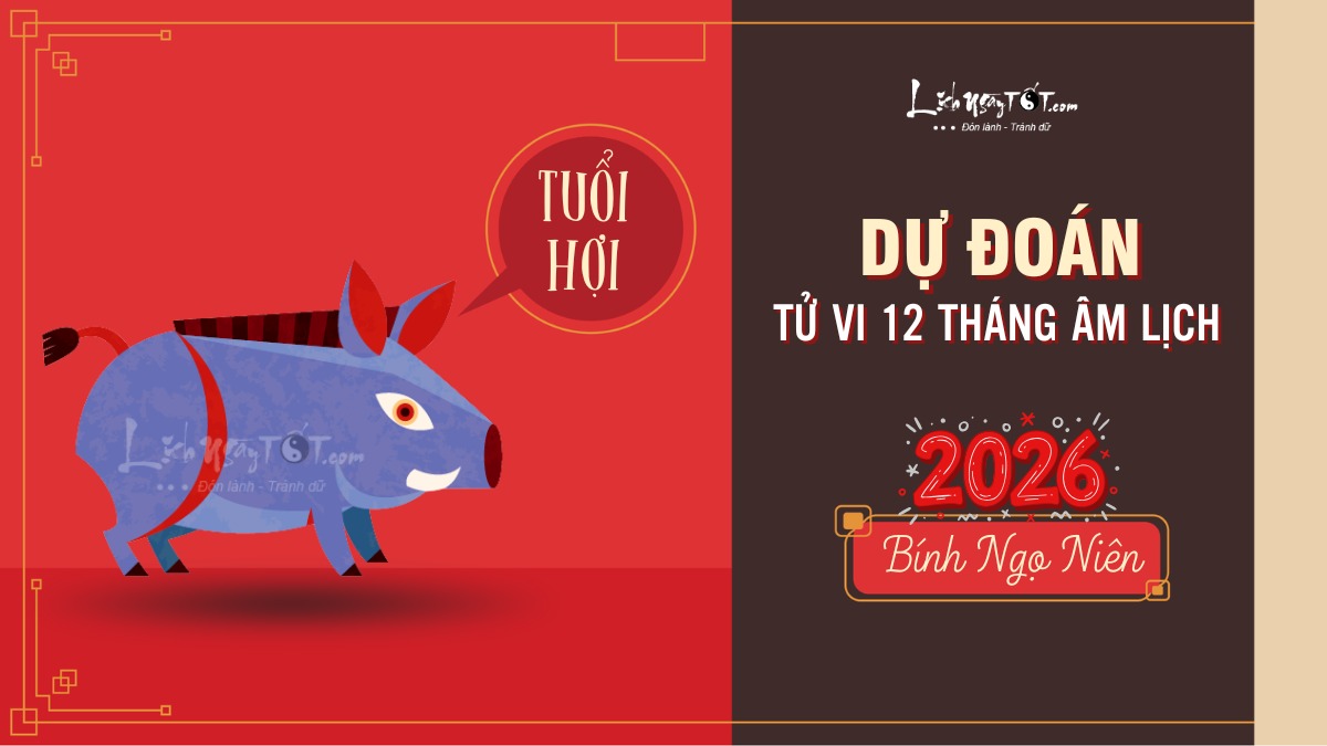 Dự đoán tử vi 12 tháng năm 2026 tuổi Hợi Du doan tu vi 12 thang nam 2026 tuoi Hoi