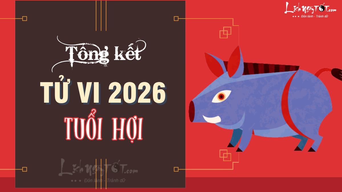 Tổng kết tử vi tuổi Hợi 2026 Tong ket tu vi tuoi Hoi 2026
