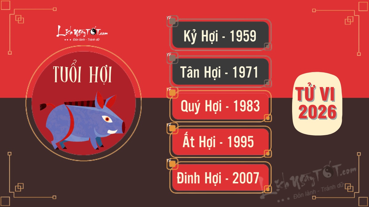 Tử vi 2026 tuổi Hợi chi tiết Tu vi 2026 tuoi Hoi chi tiet