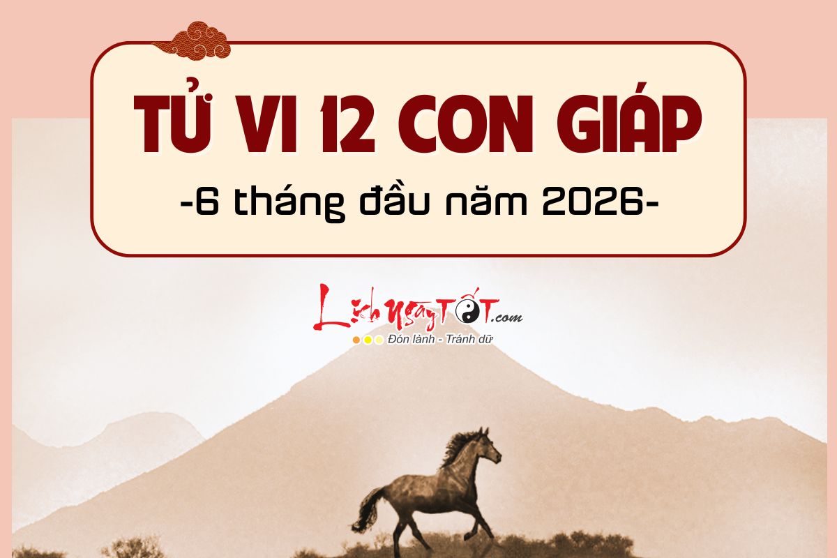 Tu vi 12 con giap nua dau nam 2026