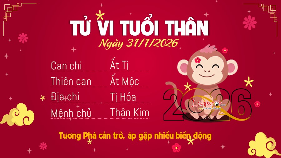 9 Tu vi hang ngay 31-1-2026 - Than