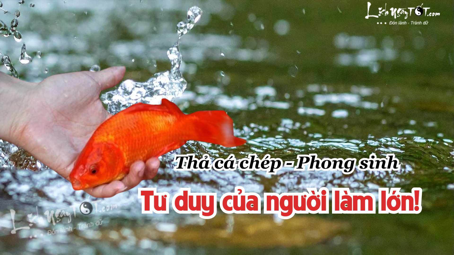 Tha ca chep ngay 23 thang Chap