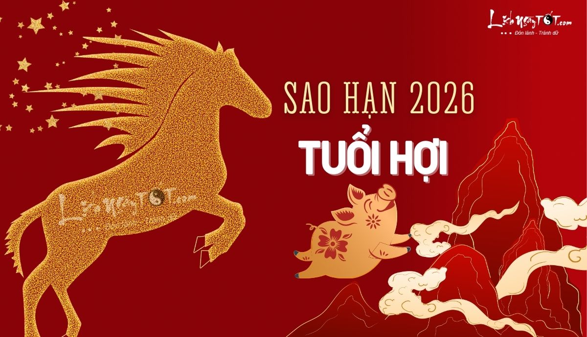 Sao han tuoi Hoi nam 2026
