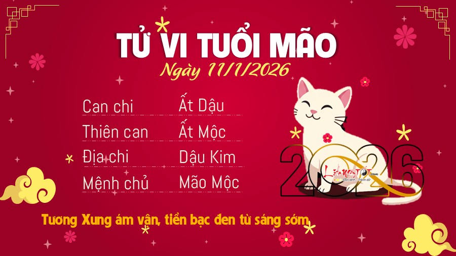 Tu vi hang ngay 11/1/2026 cua Mao