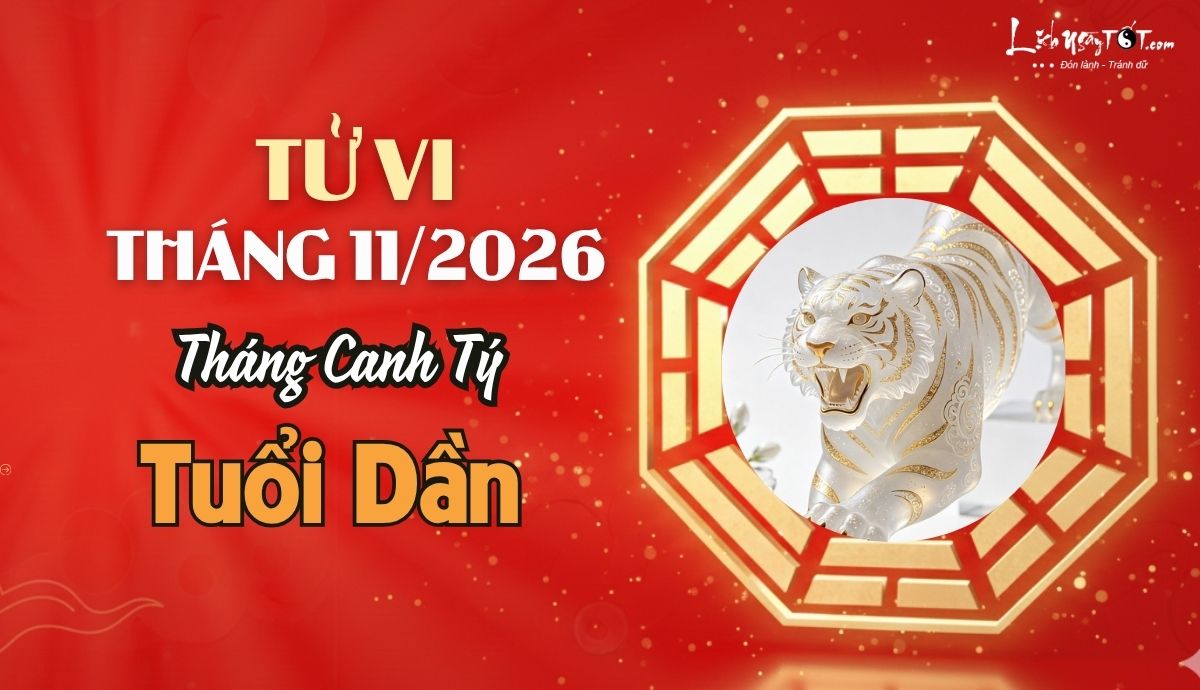 Tu vi thang 11/2026 tuoi Dan am lich