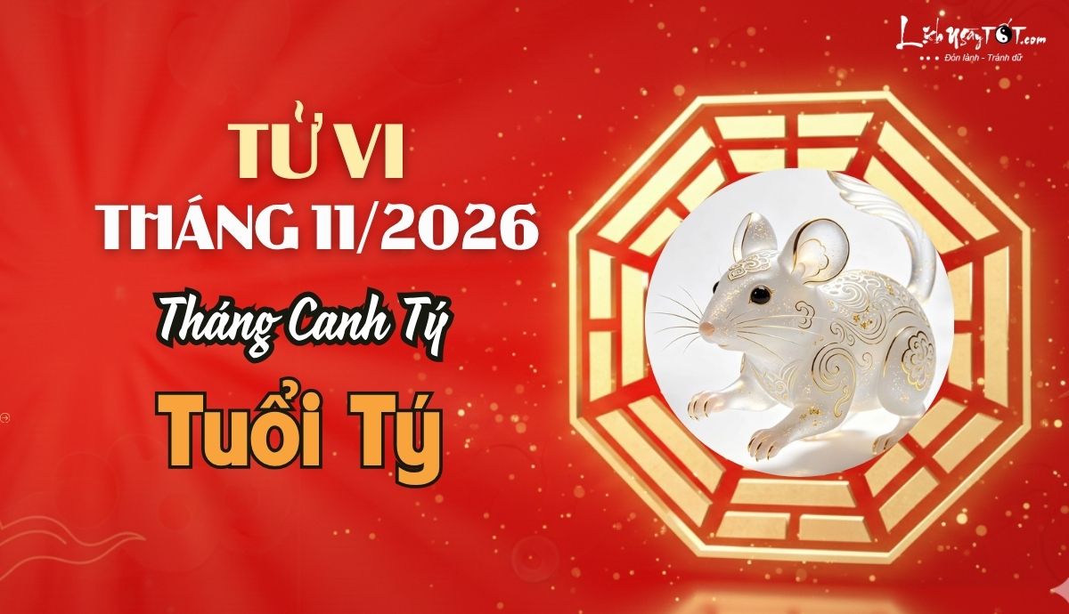 Tử vi tháng 11/2026 tuổi Tý âm lịch Tu vi thang 11/2026 tuoi Ty am lich