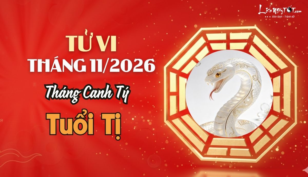 Tu vi thang 11/2026 tuoi Ti am lich