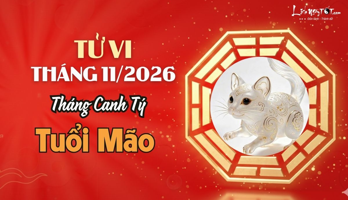 Tử vi tháng 11/2026 tuổi Mão âm lịch Tu vi thang 11/2026 tuoi Mao am lich