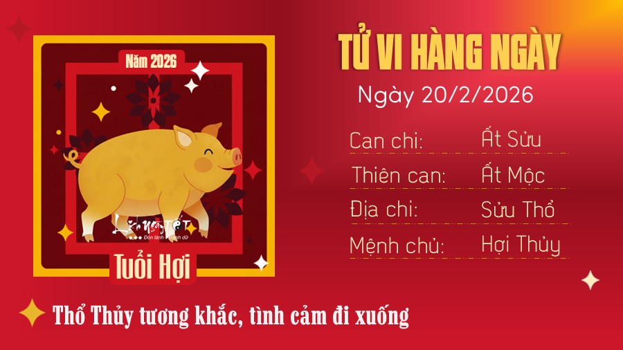 Tu vi hang ngay 20/2/2026 - Hoi