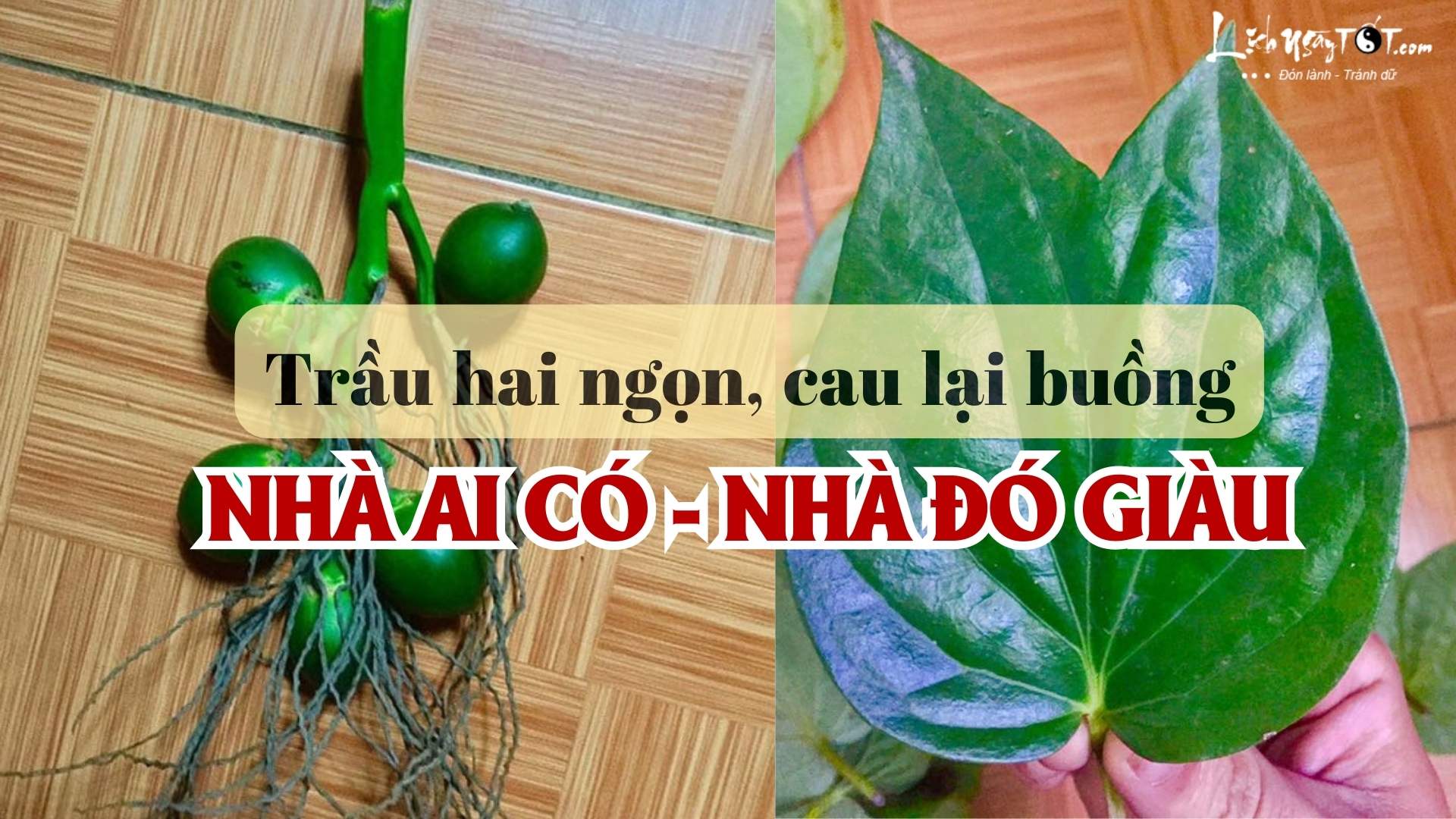 Trau hai ngon cau lai buong 1
