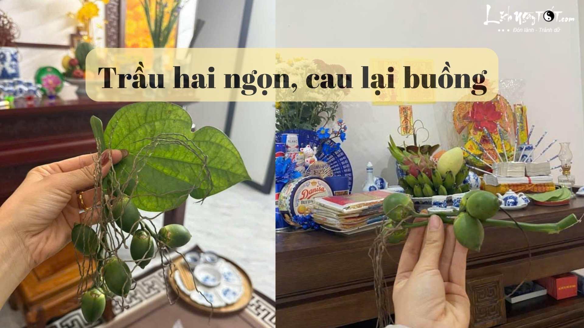 Trau hai ngon cau lai buong 2