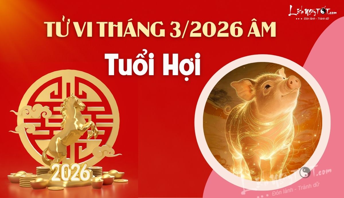 Tu vi thang 3/2026 tuoi Hoi am lich