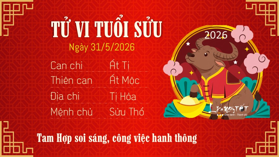 Tu vi hang ngay 31/5/2026 cua Suu