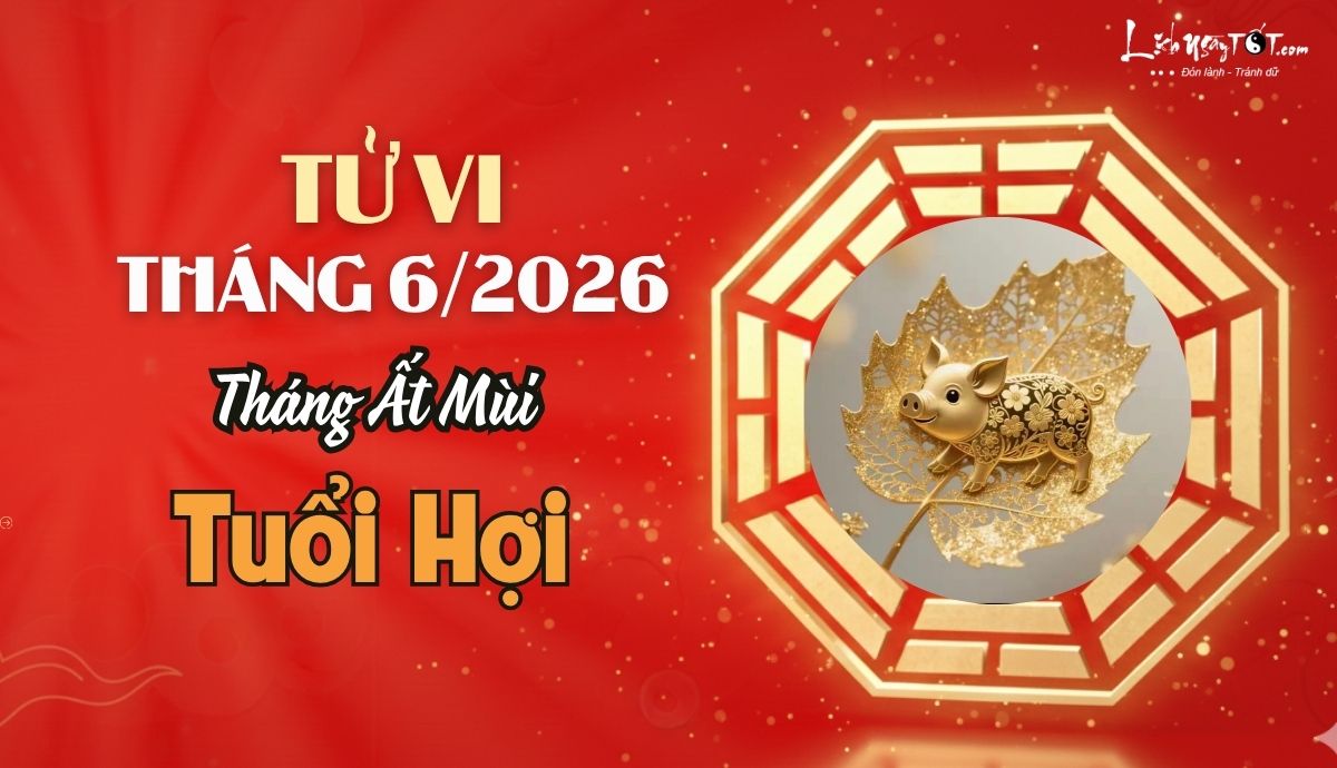 Tu vi thang 6/2026 tuoi Hoi am lich