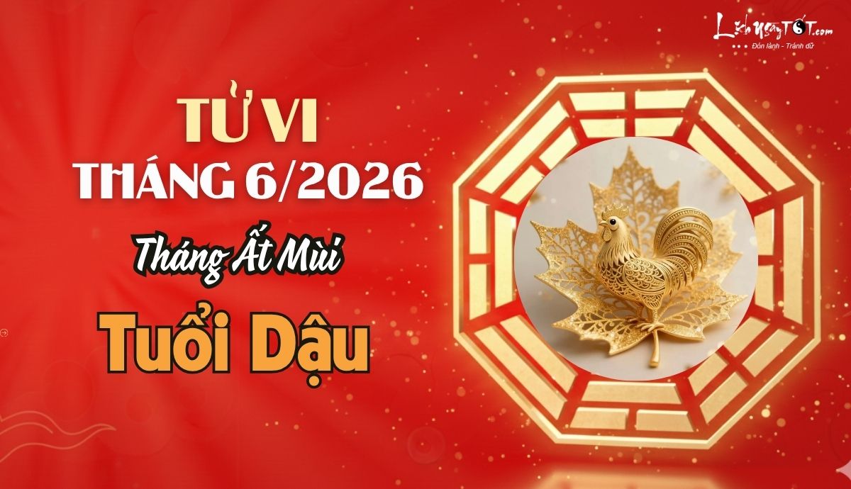 Tu vi thang 6/2026 tuoi Dau am lich