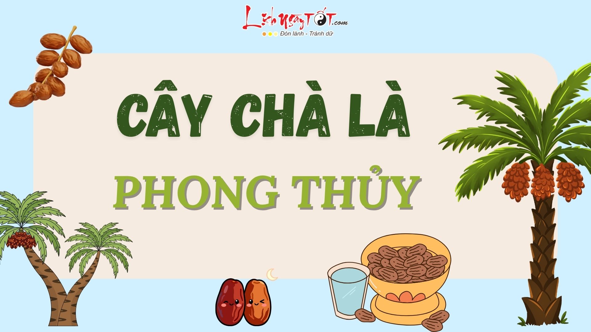 Cay cha la phong thuy