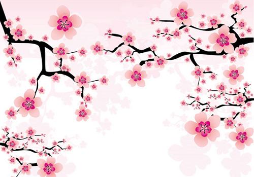 Trung dao, trung man don van may vao nha hinh anh 2