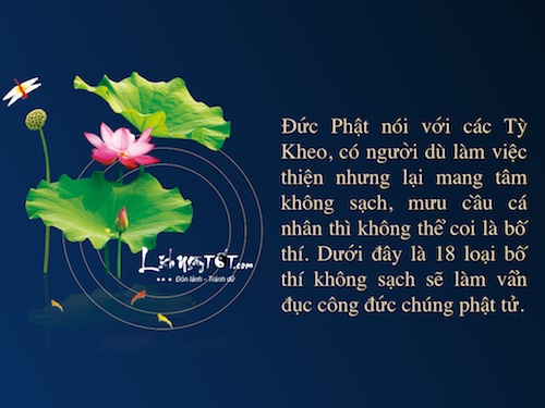 Infographic 18 loai bo thi khong sach se Phat day dung lam hinh anh