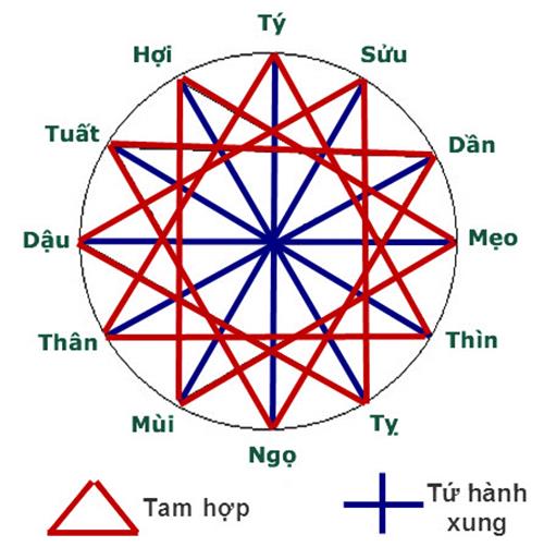 Tu hanh xung la gi Hieu dung de khong con bi kich hinh anh