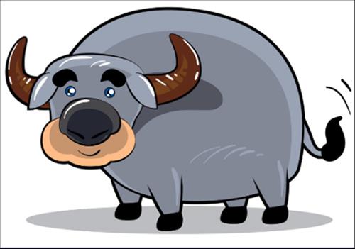 buffalo