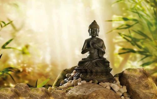 Phật dạy: Muốn thay đổi VẬN MỆNH thì trước hết phải thay TÍNH đổi NẾT 1