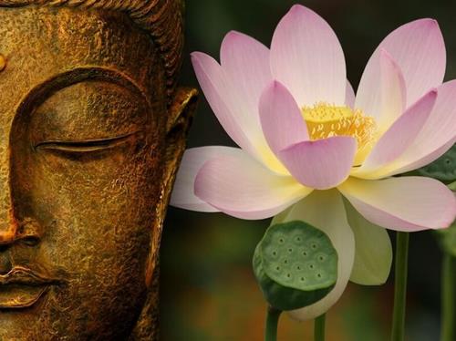 Phật dạy: Những ĐIỀU ÁC tuyệt đối nên tránh làm trong đời nếu muốn tích PHƯỚC 1