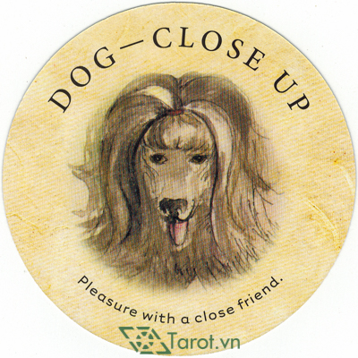 58. Dog – Close up - Tea Leaf Fortune Cards