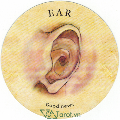 64. Ear - Tea Leaf Fortune Cards