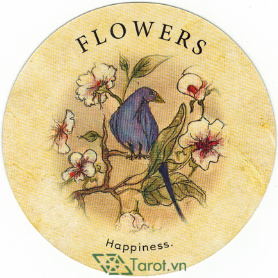 76. Flowers - Tea Leaf Fortune Cards