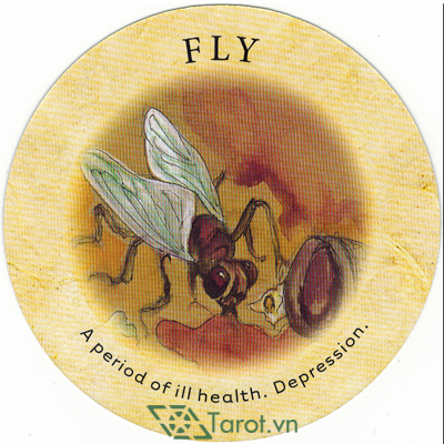 78. Fly - Tea Leaf Fortune Cards