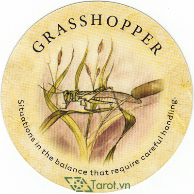 88. Grasshopper - Tea Leaf Fortune Cards