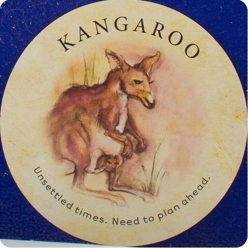 101. Kangaroo - Tea Leaf Fortune Cards