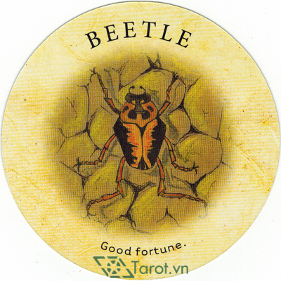 12. Beetle - Tea Leaf Fortune Cards