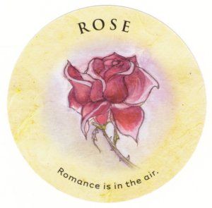 137. Rose - Tea Leaf Fortune Cards