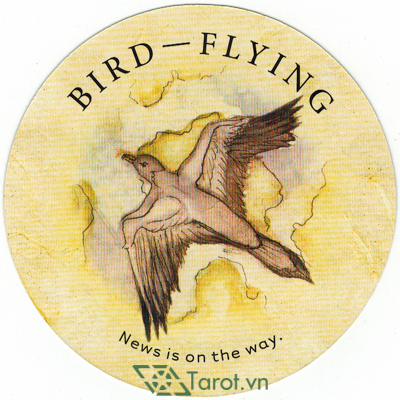 14. Bird – Flying - Tea Leaf Fortune Cards