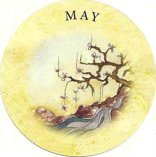 187. May - Tea Leaf Fortune Cards