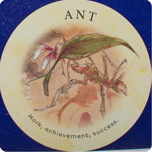 2. Ant - Tea Leaf Fortune Cards