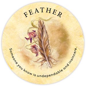 71. Feather - Tea Leaf Fortune Cards