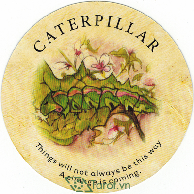 37. Caterpillar - Tea Leaf Fortune Cards