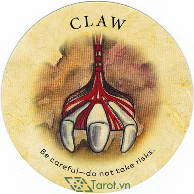 41. Claw - Tea Leaf Fortune Cards