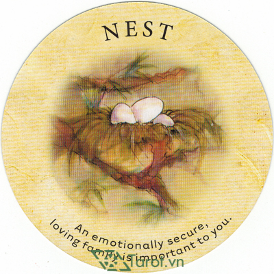 119. Nest  - Tea Leaf Fortune Cards