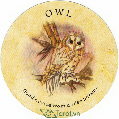 122. Owl - Tea Leaf Fortune Cards