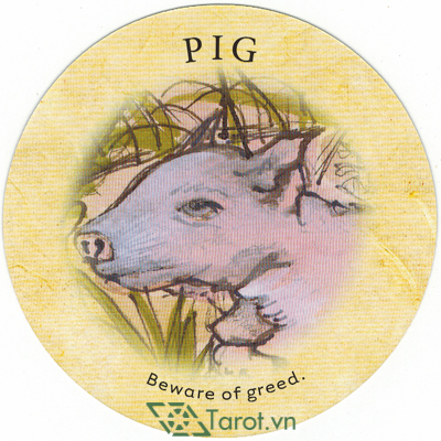 126. Pig - Tea Leaf Fortune Cards