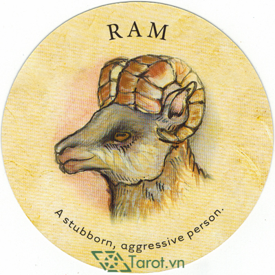 133. Ram - Tea Leaf Fortune Cards