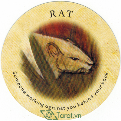 134. Rat - Tea Leaf Fortune Cards