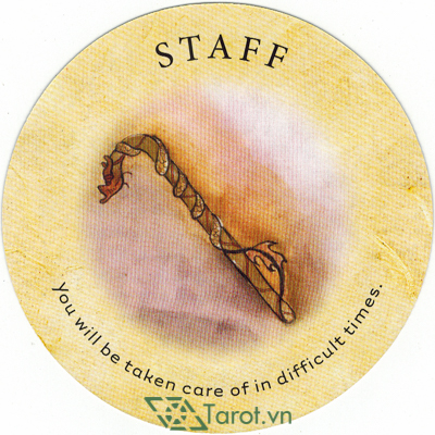 145. Staff - Tea Leaf Fortune Cards