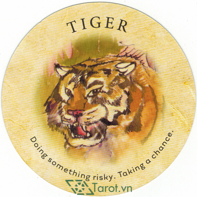 157. Tiger - Tea Leaf Fortune Cards