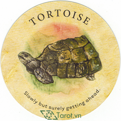 159. Tortoise - Tea Leaf Fortune Cards