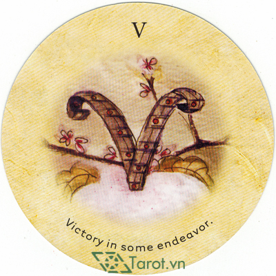 165. V- Tea Leaf Fortune Cards